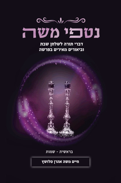 נטפי משה