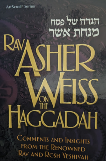 HAGGADAH RAV ASHER WEIS H.C