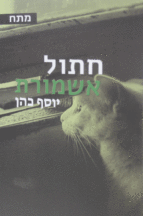 חתול אשמורת