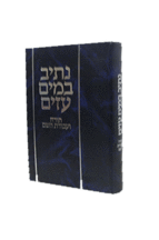 נתיב-במים