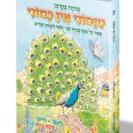 חינוך בקרמן 15 הדמיה