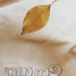 פרח-מבצע