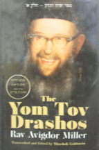 Yom Tov Drashos vol. 1