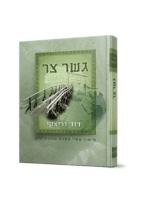 גשר צר