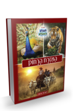 המזרח הרחוק