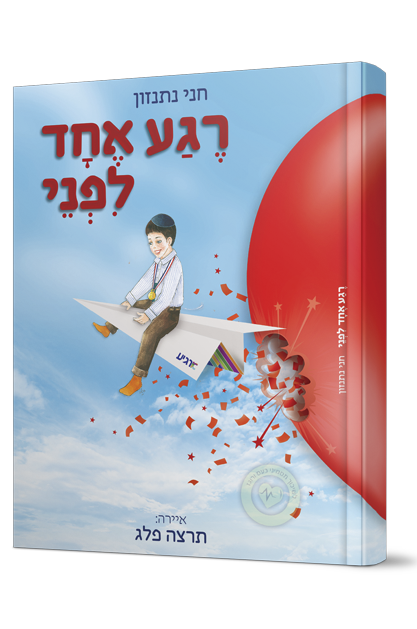 רגע אחד לפני הדמיה