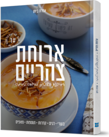 ארוחת צהריים - מתכונים