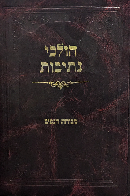 הולכי נתיבות copy