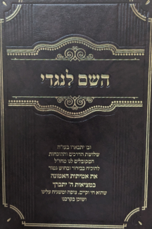השם לנגדי